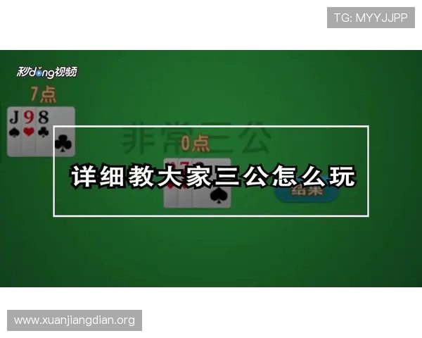 三公在线玩免费体验最全的玩法攻略与技巧分享让你轻松掌握三公在线玩技巧